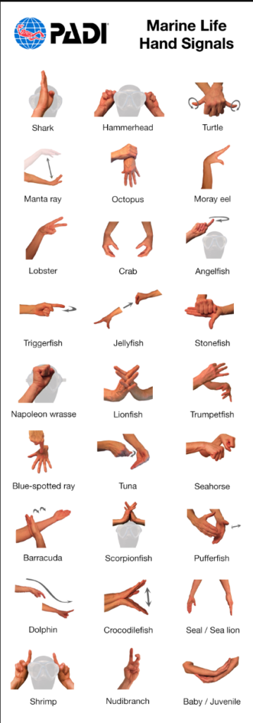 Marine Life Hand Signal